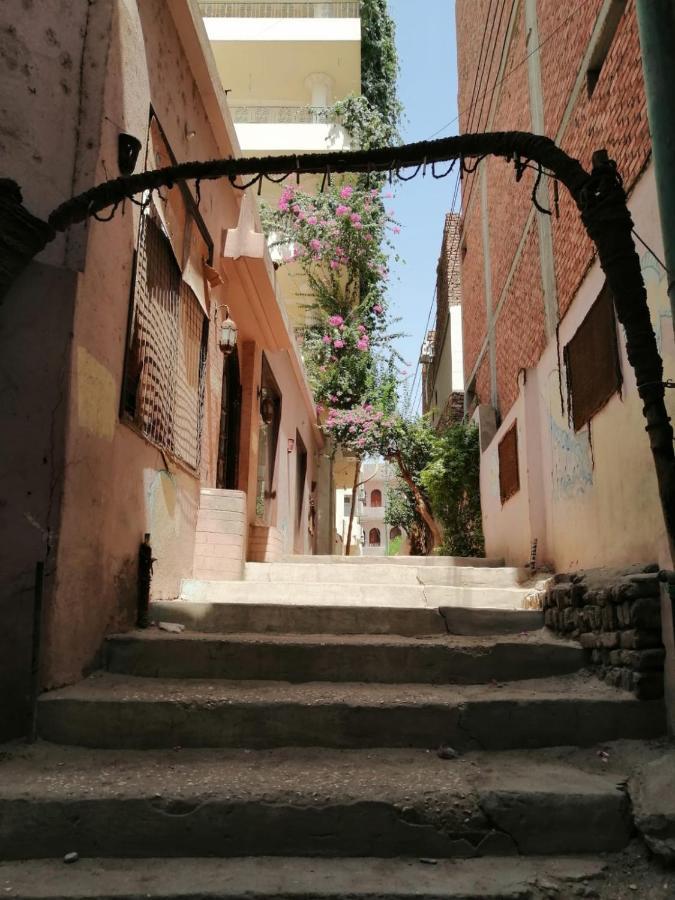 Winter Guest House Luxor Esterno foto