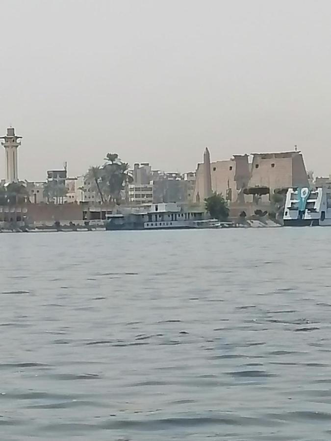 Winter Guest House Luxor Esterno foto